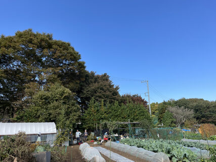 2022年11月5日(土)　曇りのち晴れ