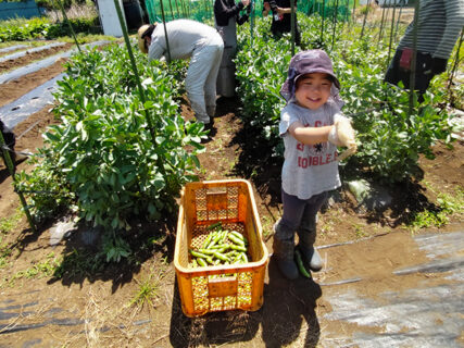 2024年5月11日(土)　晴れ