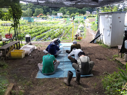 2024年5月25日(土)　曇りのち晴れ