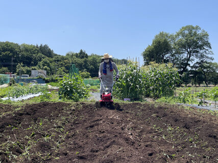 2024年6月8日（土）　晴れ