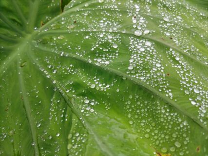 2024年10月6日(日)　曇り時々雨