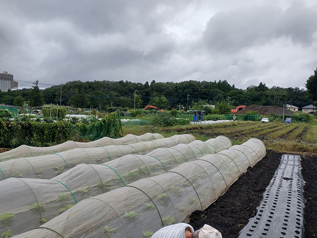 2024年10月9日(水)　雨