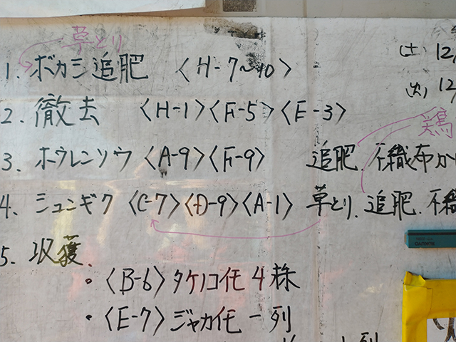 2024年12月3日(火)　晴れ