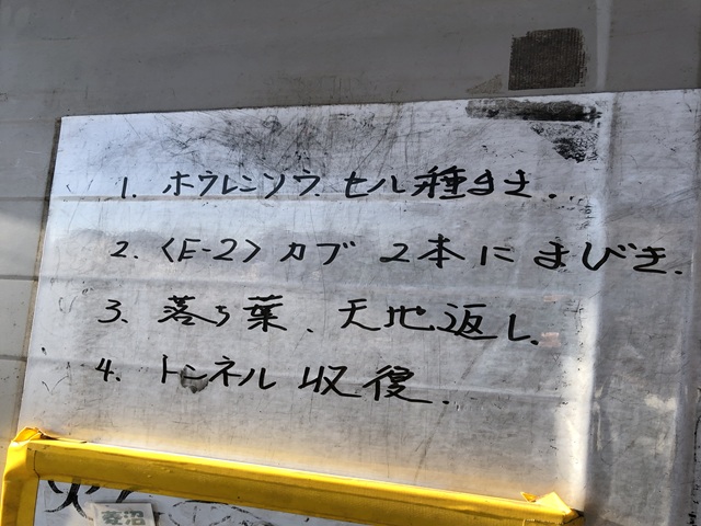 2025年1月28日（火）農園作業　快晴