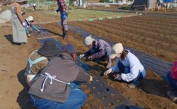 2025年3月1日(土)晴れ