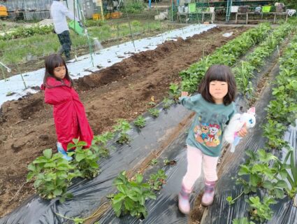 2025年4月26日(土)曇り