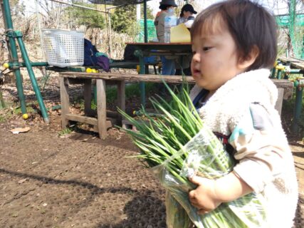2025年4月5日(土)晴れ