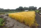 2025年5月13日(火)晴れ