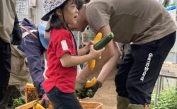 2025年6月14日(土)曇り