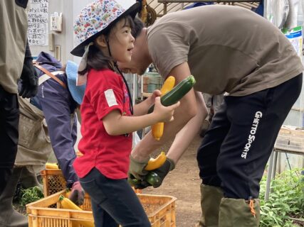 2025年6月14日(土)曇り