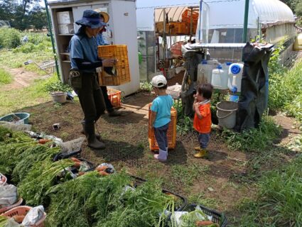 2025年6月21日(土)晴れ