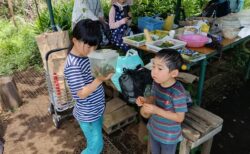 2025年7月19日(土)晴れ