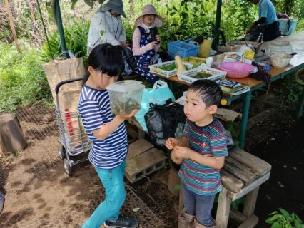 2025年7月19日(土)晴れ