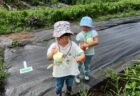 2025年8月5日(火)曇り時々晴れ
