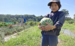2025年8月30日(土)晴れ
