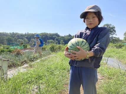 2025年8月30日(土)晴れ