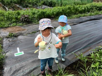 2025年8月9日(土)晴れのち曇り