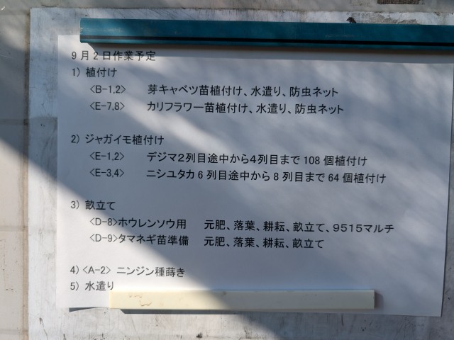 2025年9月2日(火)晴れ