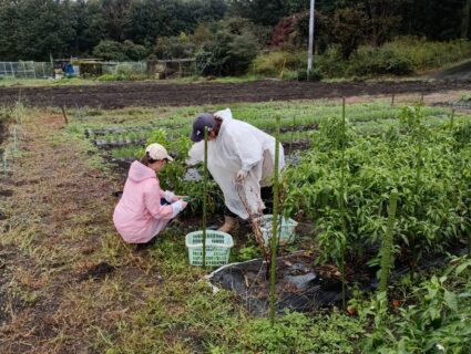 2025年10月26日(日)雨