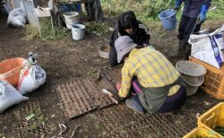 2025年10月28日(火)曇り後晴れ