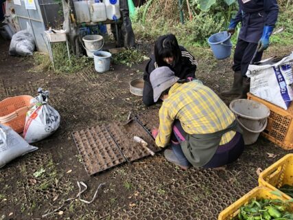 2025年10月28日(火)曇り後晴れ