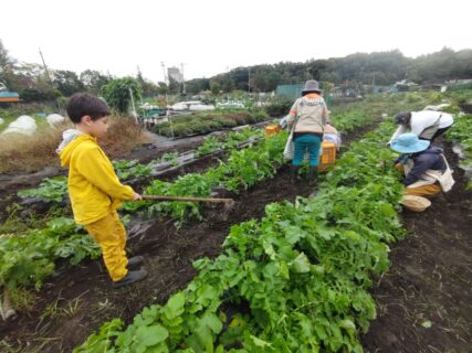 2025年11月1日(土)曇り