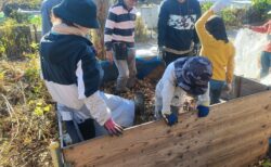 2025年11月29日(土)晴れ