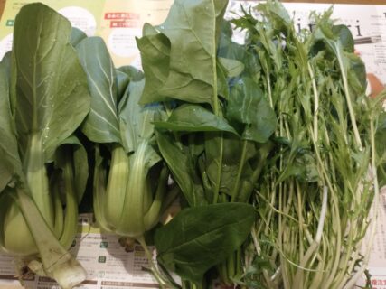 2025年11月18日(火)曇り