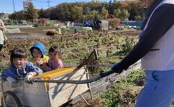 2025年11月22日(土)晴れ