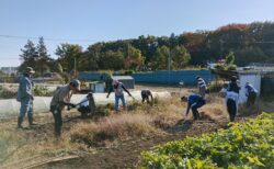 2025年11月15日(土)晴れ
