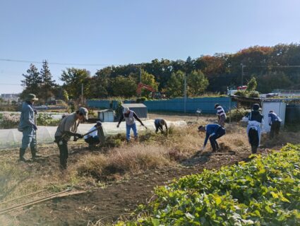 2025年11月15日(土)晴れ