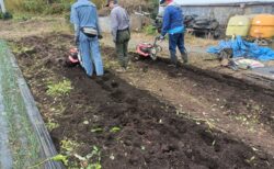 2025年11月8日(土)晴れ