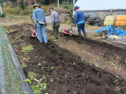 2025年11月8日(土)晴れ