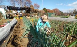 2025年12月6日(土)晴れ