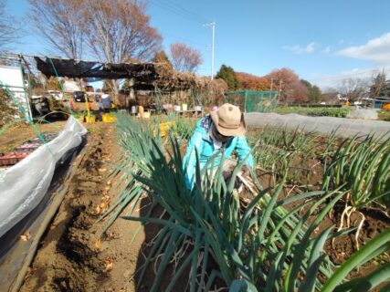 2025年12月6日(土)晴れ