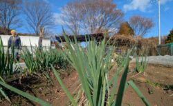 2025年12月9日(火)晴れ