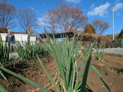 2025年12月9日(火)晴れ
