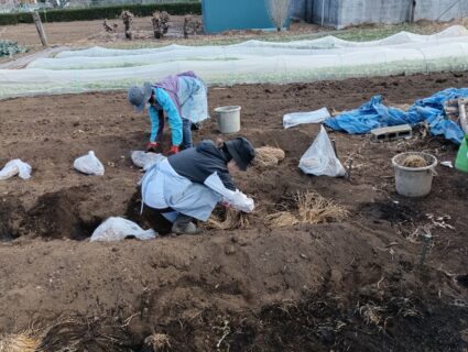 2025年12月13日(土)曇りのち晴れ