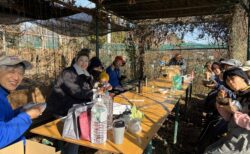 2025年12月23日(火)晴れ