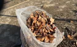 2025年12月16日(火)晴れ