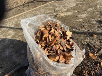 2025年12月16日(火)晴れ