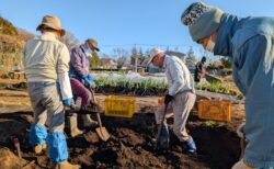 2026年1月6日(火)晴れ