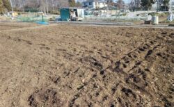 2026年1月27日(火)晴れ