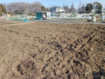 2026年1月27日(火)晴れ