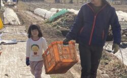 2026年1月17日(土)晴れ