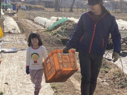 2026年1月17日(土)晴れ