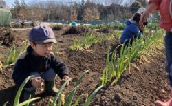 2026年1月24日(土)晴れ【トコトコ編】