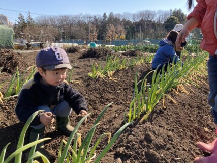 2026年1月24日(土)晴れ【トコトコ編】