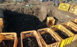 2026年1月20日(火)曇り