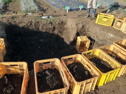 2026年1月20日(火)曇り